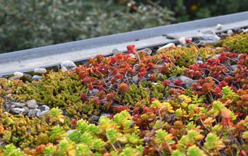 the cost of Conon Bridge green roof installation