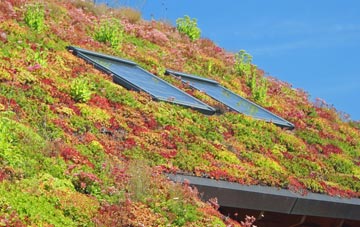 Conon Bridge living roof systems